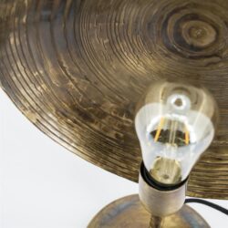 Hoogwaardige metalen lamp met antieke finish, modern industrieel ontwerp, perfect voor woonkamer of kantoor, detail close-up van de structuur en lichtbron, ontworpen door Mokana Meubelen.