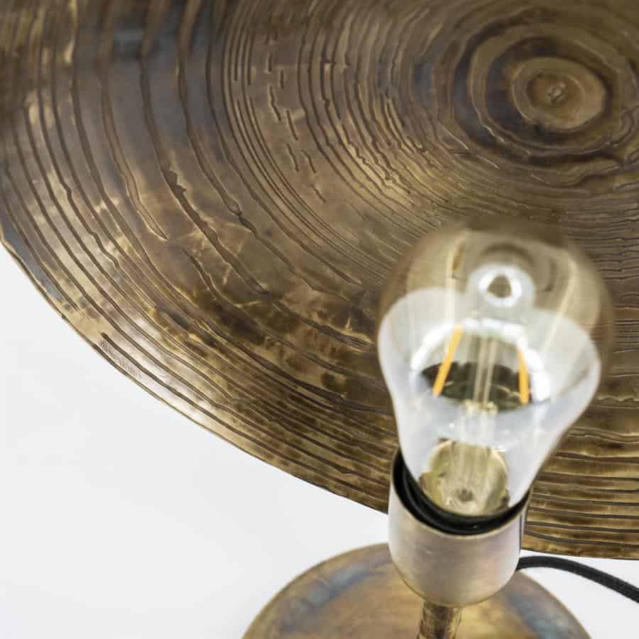 Hoogwaardige metalen lamp met antieke finish, modern industrieel ontwerp, perfect voor woonkamer of kantoor, detail close-up van de structuur en lichtbron, ontworpen door Mokana Meubelen.