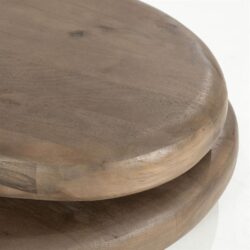 Elegant houten bijzettafel met rond ontwerp en natuurlijke afwerking, perfect voor modern interieur.