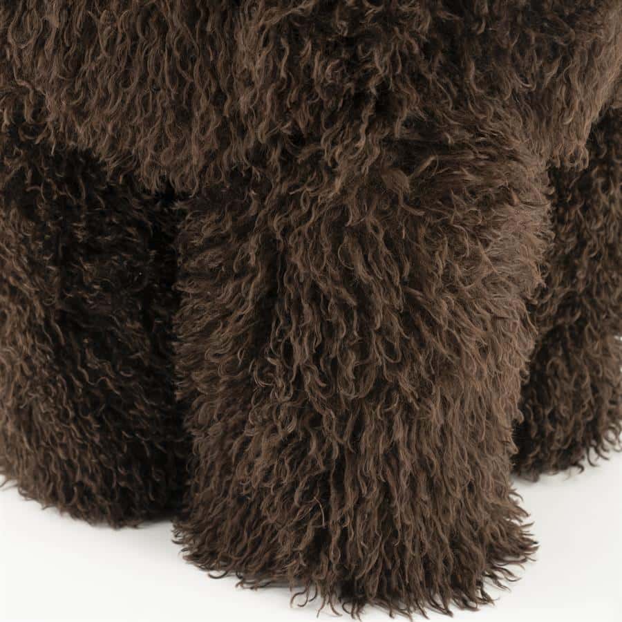 Zwarte krullende hondenhuid, close-up.