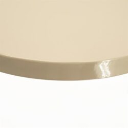 Elegante beige houten salontafel met glanzende lakafwerking, modern design, perfecte toevoeging aan diverse interieurstijlen.