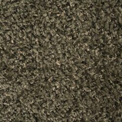 Donkergrijs, gekrulde tapijtvloer, zachte textuur, vloerbedekking voor woonkamer en slaapkamer, duurzame en comfortabele tapijbrandeling.