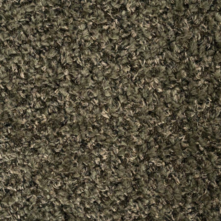 Donkergrijs, gekrulde tapijtvloer, zachte textuur, vloerbedekking voor woonkamer en slaapkamer, duurzame en comfortabele tapijbrandeling.