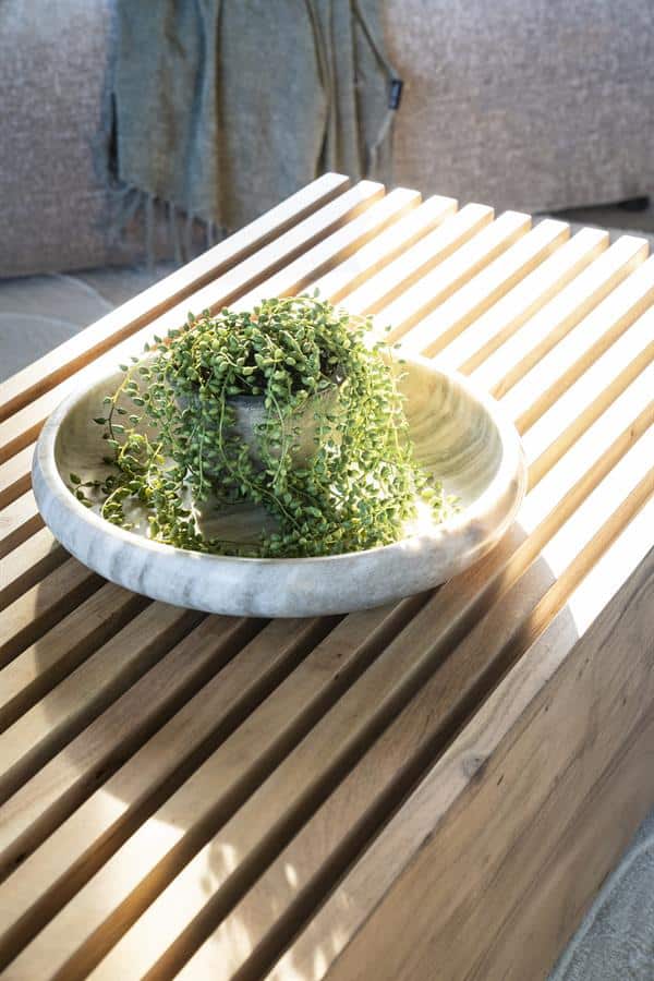 Natuurlijke houten tuinbank met plantencombinatie, perfect voor tuindecoratie en ontspanning, gemaakt door Mokana Meubelen.