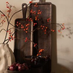 Volleerd houten snijplanken, decoratief met rode bessen en rode uien, rustiek landelijke sfeer, perfect voor keuken of interieur arrangementen, authentieke landelijke woonstijl, Mokana Meubelen.