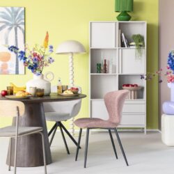 Gesjabloneerde witte boekenkast met decoratieve accessoires en planten in een modern, kleurrijk interieur.