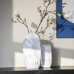 Zwarte en witte keramische vazen met magnoliastammen op een houten meubel, moderne interieurdecoratie, minimalistisch design, stijlvolle kameraccessoires, natuurlijke uitstraling, hout en keramiek.