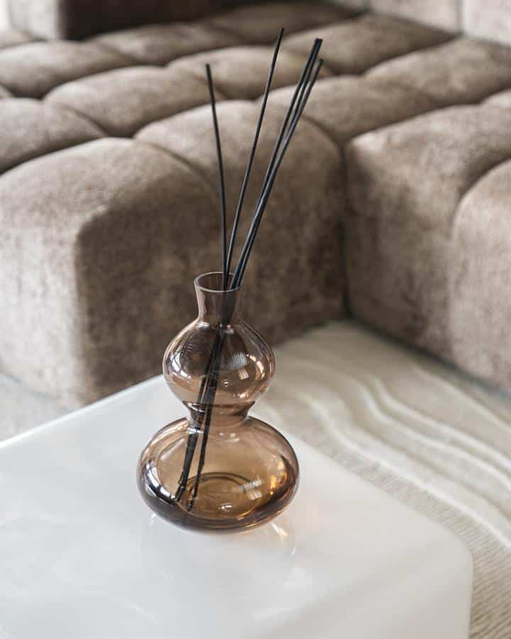 Elegante glazen vaas met zwarte diffuser sticks voor een moderne interieuraccessoire. Perfect voor het creëren van een ontspannen sfeer in woonkamer of slaapkamer.