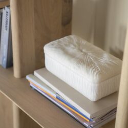 Luxueus geborduurd sierkussen op boekenplank, high-quality tekstuur en elegant design, perfect voor moderne woonkamers en accessoires, gemaakt door Mokana Meubelen.