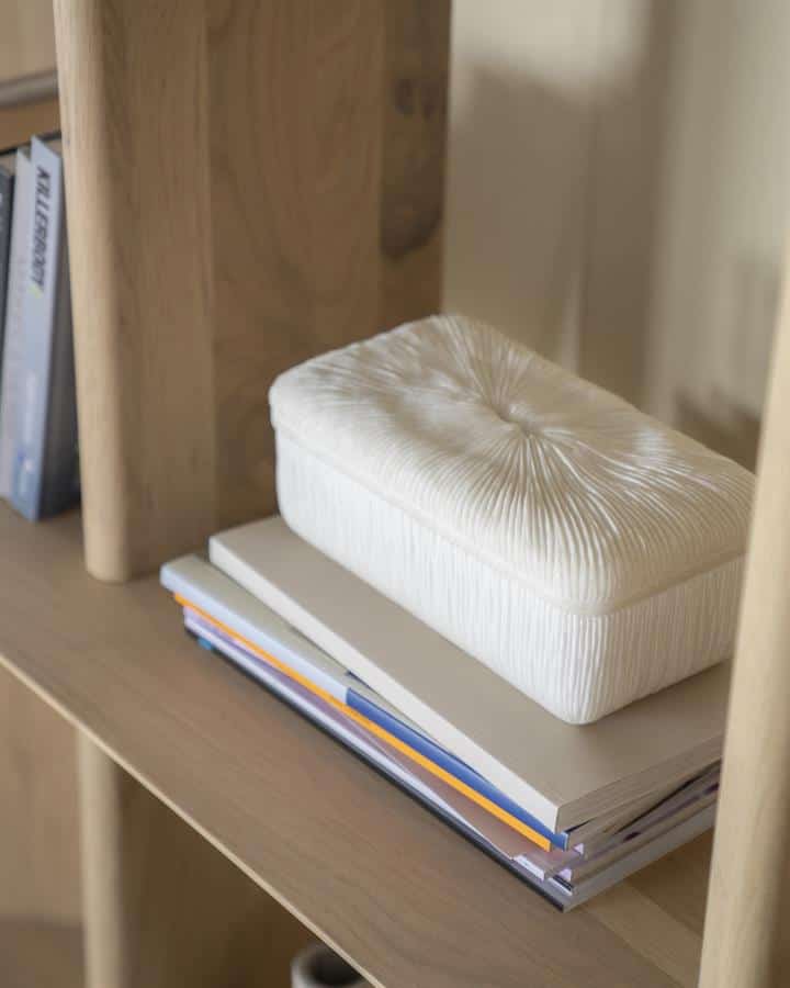 Luxueus geborduurd sierkussen op boekenplank, high-quality tekstuur en elegant design, perfect voor moderne woonkamers en accessoires, gemaakt door Mokana Meubelen.