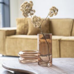 Elegant vaas met decoratieve gedroogde bloemen, perfect voor modern interieur, bij Mokana Meubelen voor stijlvolle woonaccessoires en interieurinrichting.