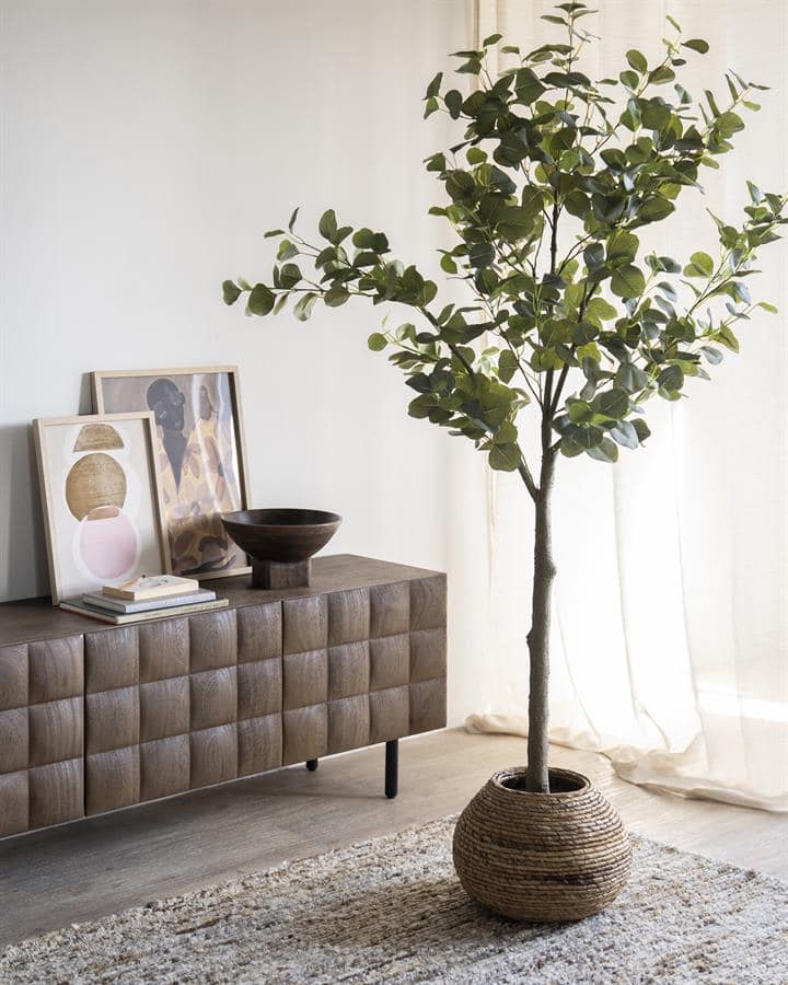 Moa-lichte-woonkamer-met-stijlvolle-meubels-en-planten.jpg.