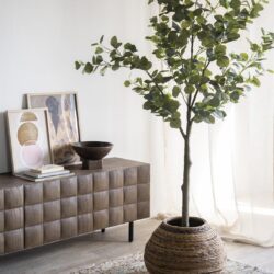 Bladerenboom in rieten pot in woonkamer met houten dressoir en kunstprint, groen interieur, natuurlijke decoratie, stijlvolle woonkamer, moderne meubels.