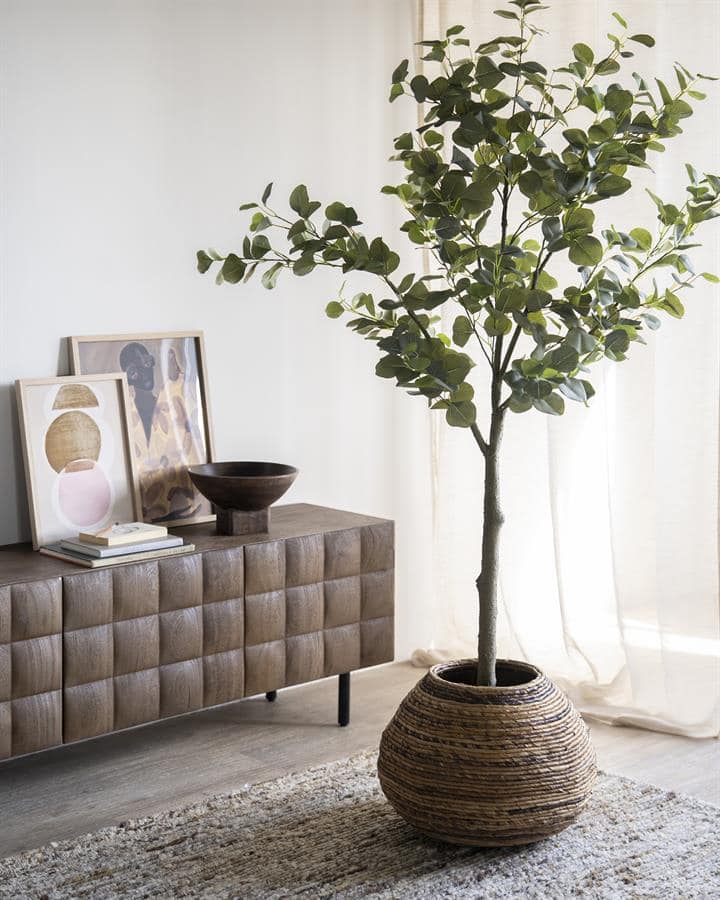 Bladerenboom in rieten pot in woonkamer met houten dressoir en kunstprint, groen interieur, natuurlijke decoratie, stijlvolle woonkamer, moderne meubels.