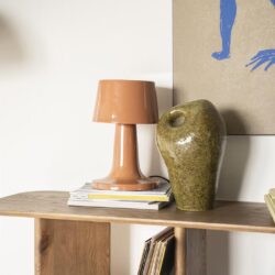 Stijlvolle keramische vaas en moderne tafellamp op houten boekenkast in minimalistische woonkamer, perfect voor een warme en gezellige interieurstyle met natuurlijke materialen.