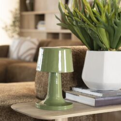 Vintage groene tafellamp op houten salontafel in een modern interieur met grote plant en boekenkast.