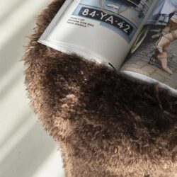 Vooraanzicht van een open magazine op een rond, zachte, bruine vloerkleed, met een model en interieurfoto, reclame en mode elementen, onder natuurlijk licht.