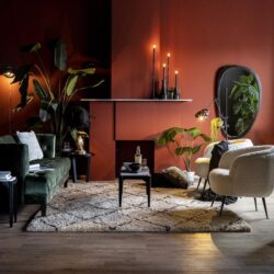 Luxe woonkamerinrichting met stijlvolle meubelen, planten en warme verlichting, perfect voor moderne interieurs.