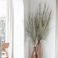 Grote decoratieve glazen vazen met gedroogde grassoorten in een modern interieur, elegant en natuurlijk sfeer; geschikt voor stijlvolle woonkamer decoración.