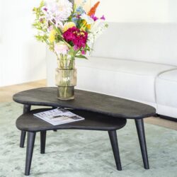 Robuuste zwarte houten bijzettafels met een modern design, perfect voor woonkamer of kantoor. Een stijlvolle toevoeging met natuurlijke uitstraling, gecombineerd met een vaas met kleurrijke bloemen.