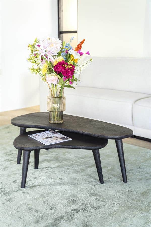 Robuuste zwarte houten bijzettafels met een modern design, perfect voor woonkamer of kantoor. Een stijlvolle toevoeging met natuurlijke uitstraling, gecombineerd met een vaas met kleurrijke bloemen.