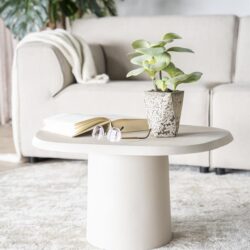 Minimalistisch ronde salontafel met plant en boek in een modern woonkamer, perfect voor stijlvolle en functionele interieurdecoratie.