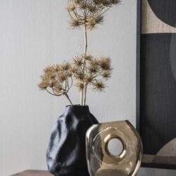 Hoogwaardige decoratieve vazen en droogbloemen, modern interieur, Mokana Meubelen.