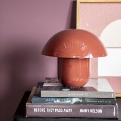 Unieke keramische tafelmodel lamp in terracotta kleur op een bijzettafel met decoratieve boeken, ideale wanddecoratie en interieuraccessoire voor een modern en stijlvol wonen.
