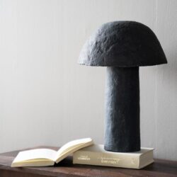 Donkere sculpturale lamp van steen op boeken, modern interieur accessoire, minimalistisch design, stijlvolle woondecoratie, unieke kunstzinnige verlichting.