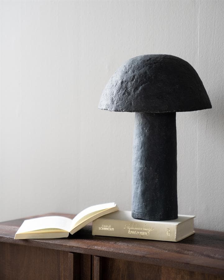 Donkere sculpturale lamp van steen op boeken, modern interieur accessoire, minimalistisch design, stijlvolle woondecoratie, unieke kunstzinnige verlichting.