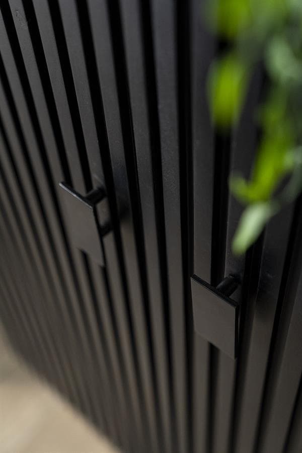 Kabinet Remi 2-drs. - zwart