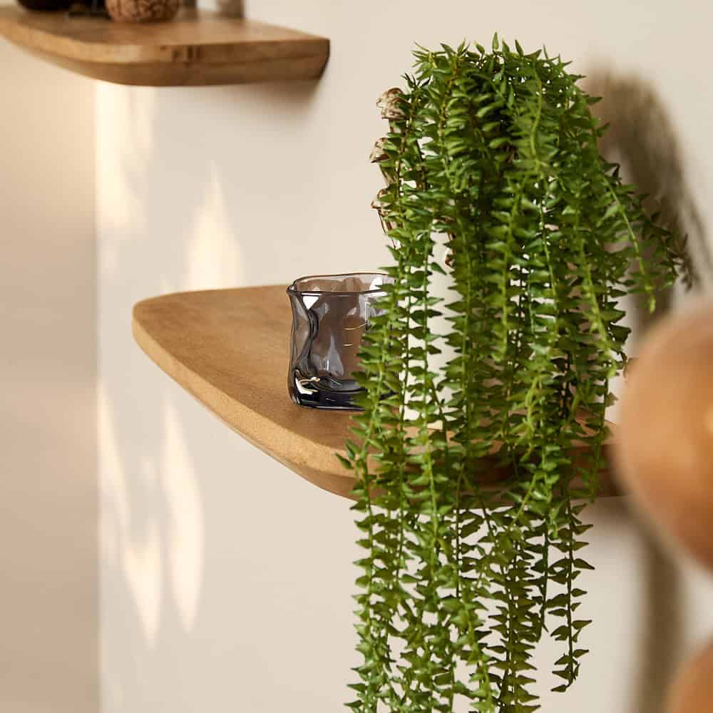 Luxueus houten wandplank met decoratieve plant en glazenWaxinelichtje, perfect voor stijlvolle interieurdecoratie bij Mokana Meubelen.