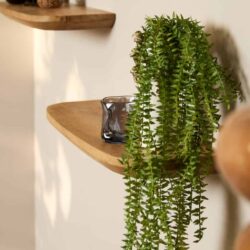Zweedse hangplank in puur hout met groene vetplant en kaars, perfect voor een natuurlijk en Scandinavisch interieur.