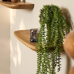Luxueus houten wandplank met decoratieve plant en glazenWaxinelichtje, perfect voor stijlvolle interieurdecoratie bij Mokana Meubelen.