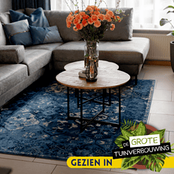 Elegante houten salontafel met metalen frame en decoratieve accessoires, passend in moderne woonkamer.