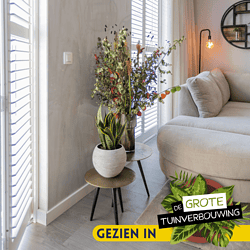 Vazen met bloemen en planten in een modern interieur; sfeervolle woonkamer met natuurlijke decoratie, design meubelen en frisse uitstraling.