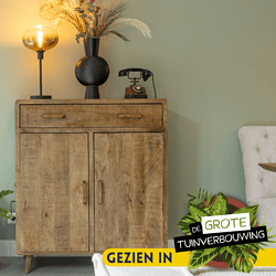 Stevige houten kast met vintage uitstraling, decoratief design, perfect voor industrieel en landelijk interieur, gecombineerd met leuke accessoires en planten voor een warme sfeer.