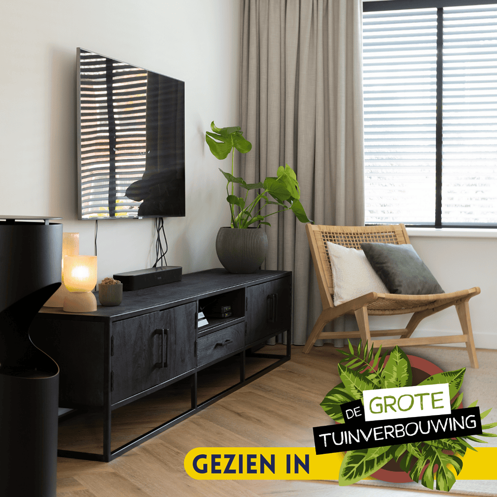Moderne woonkamer inrichting met houten vloer, zwarte tv-meubel, grote plant en lounge stoel, perfect voor stijlvolle en functionele interieurdesigns.