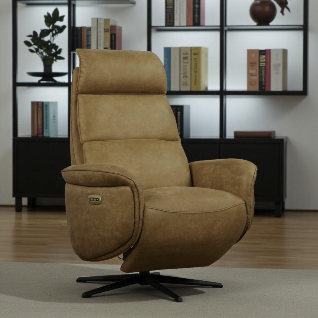 Teye fauteuil Wildeboer elektrisch