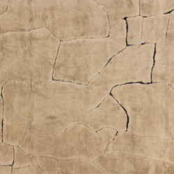 Tapijt Bhawan brown 200x300