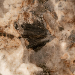 Salontafel Langford brown