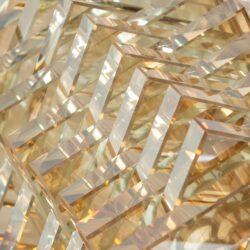 VA-0356-9 Vaas Celia