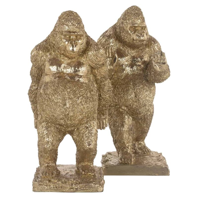 Boekenstandaards Donky gold