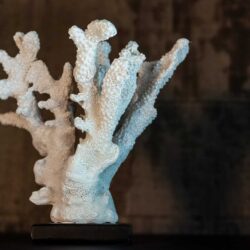 Wandkast Cambon dark coffee