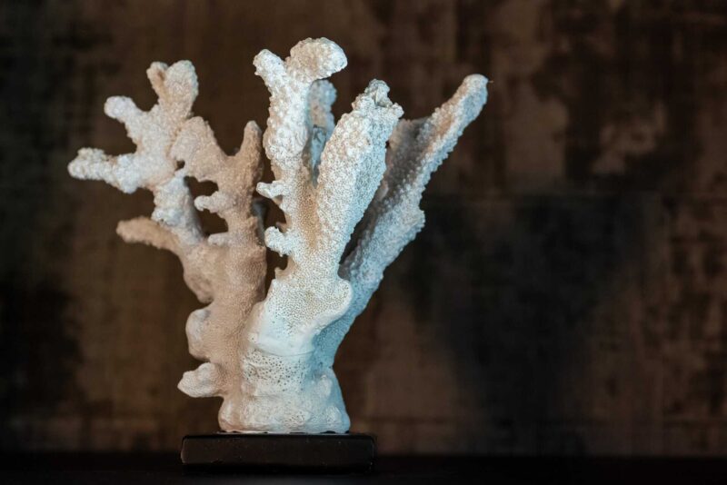 Wandkast Cambon dark coffee