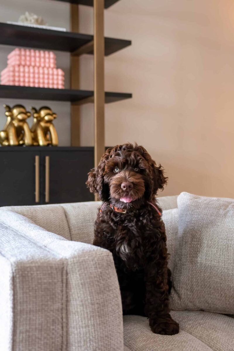 Wandkast Cambon dark coffee