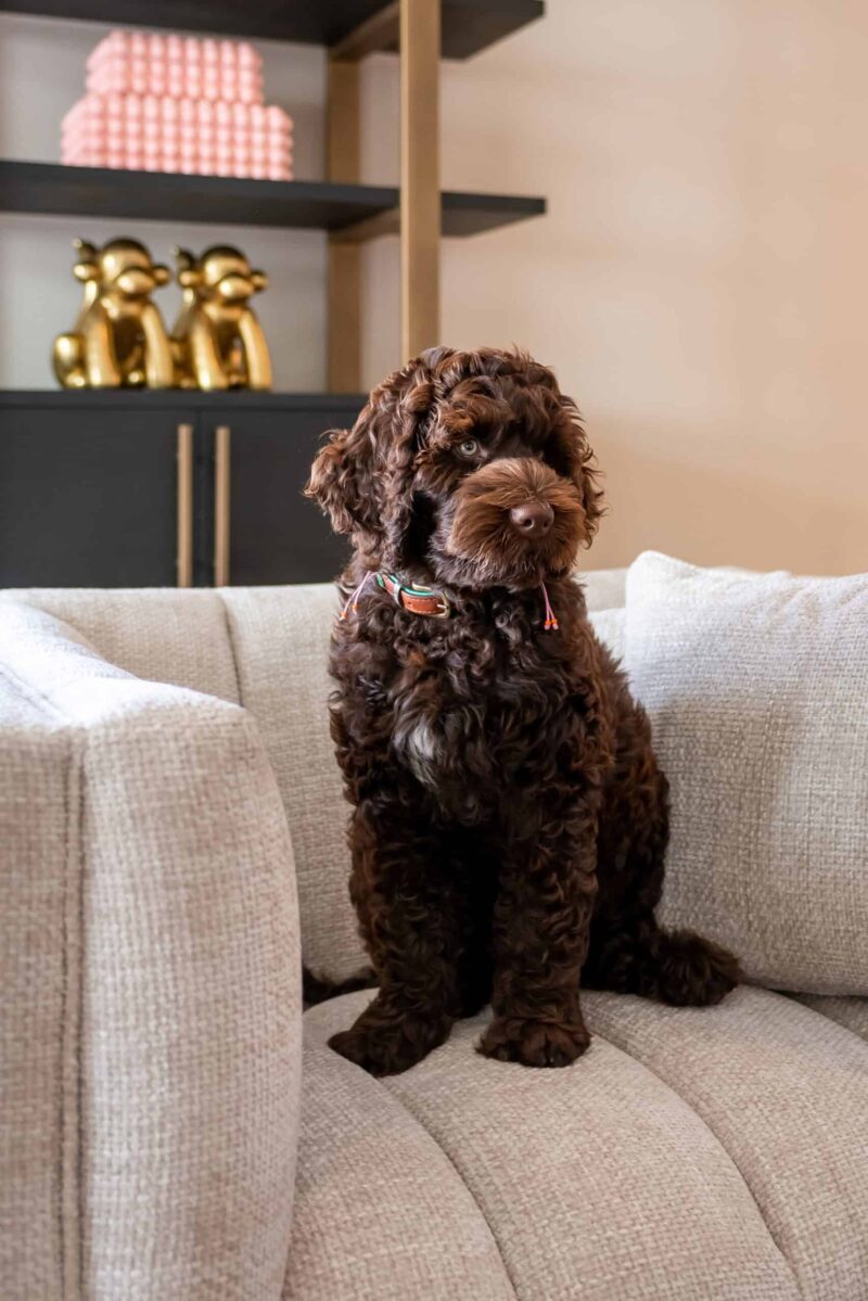 Wandkast Cambon dark coffee