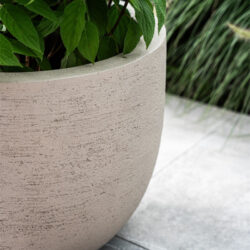 Sandalwood Boom 180cm incl. Terreno Pot | Sand
