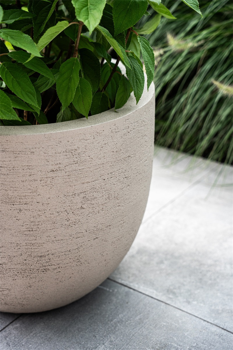 Sandalwood Boom 180cm incl. Terreno Pot | Sand