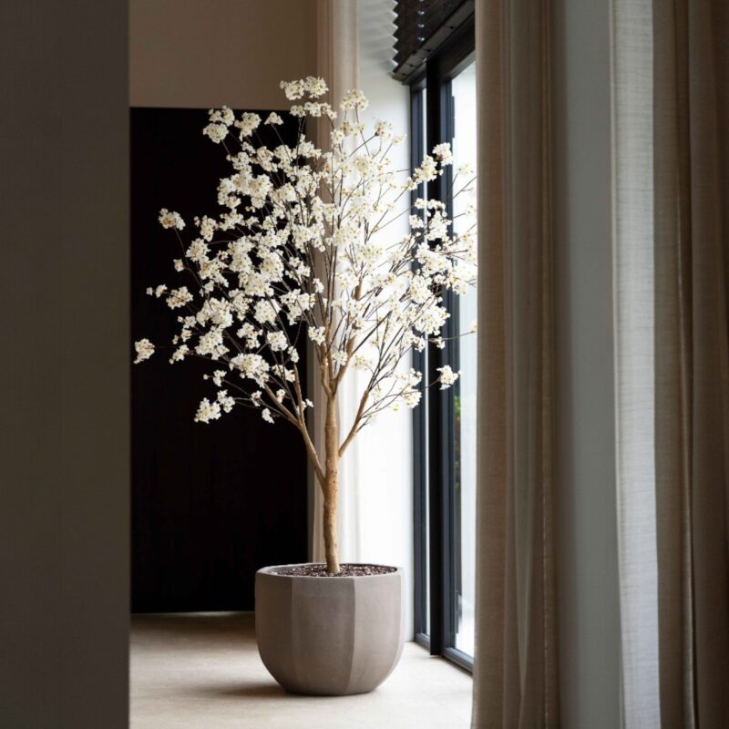 blossom-tree-creme-220cm (1)